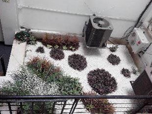 Servicio de paisajismo
Decoración de jardines
Diseño de jardines