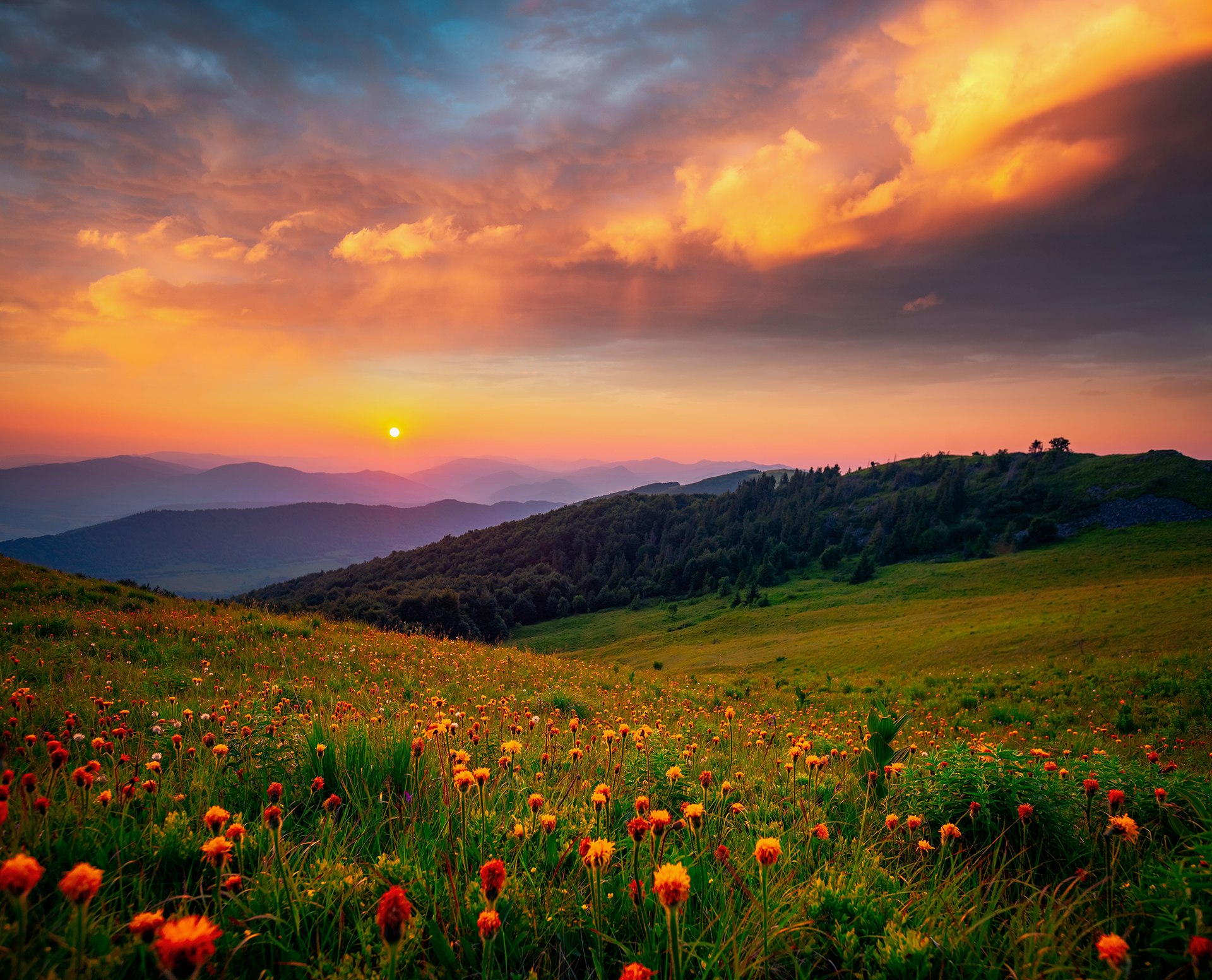 Sunset over mountains and a wildflower meadow, with orange and yellow sky.