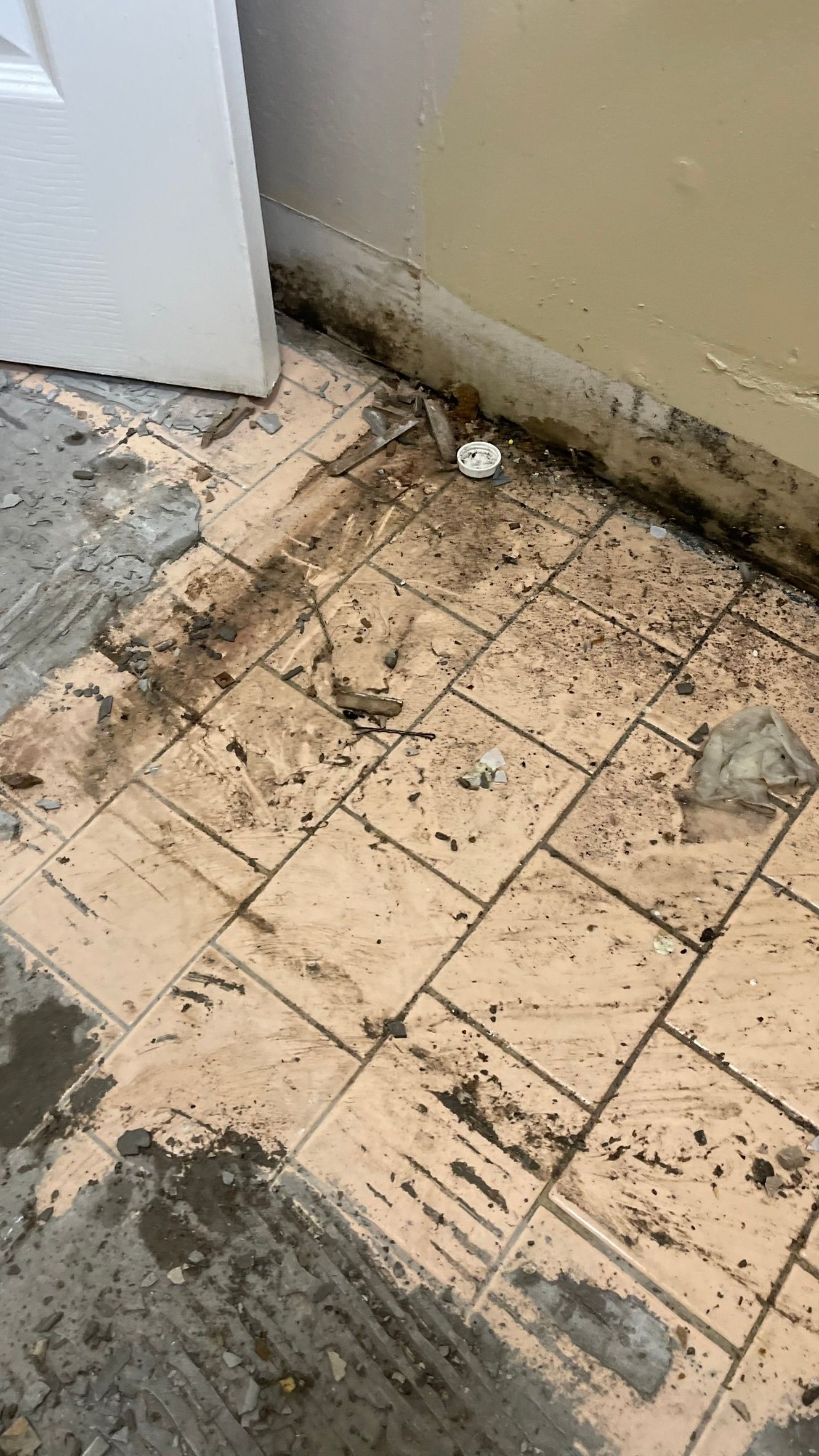 Muddy floor with damaged tiles next to a door and wall. Dark staining near the baseboards.