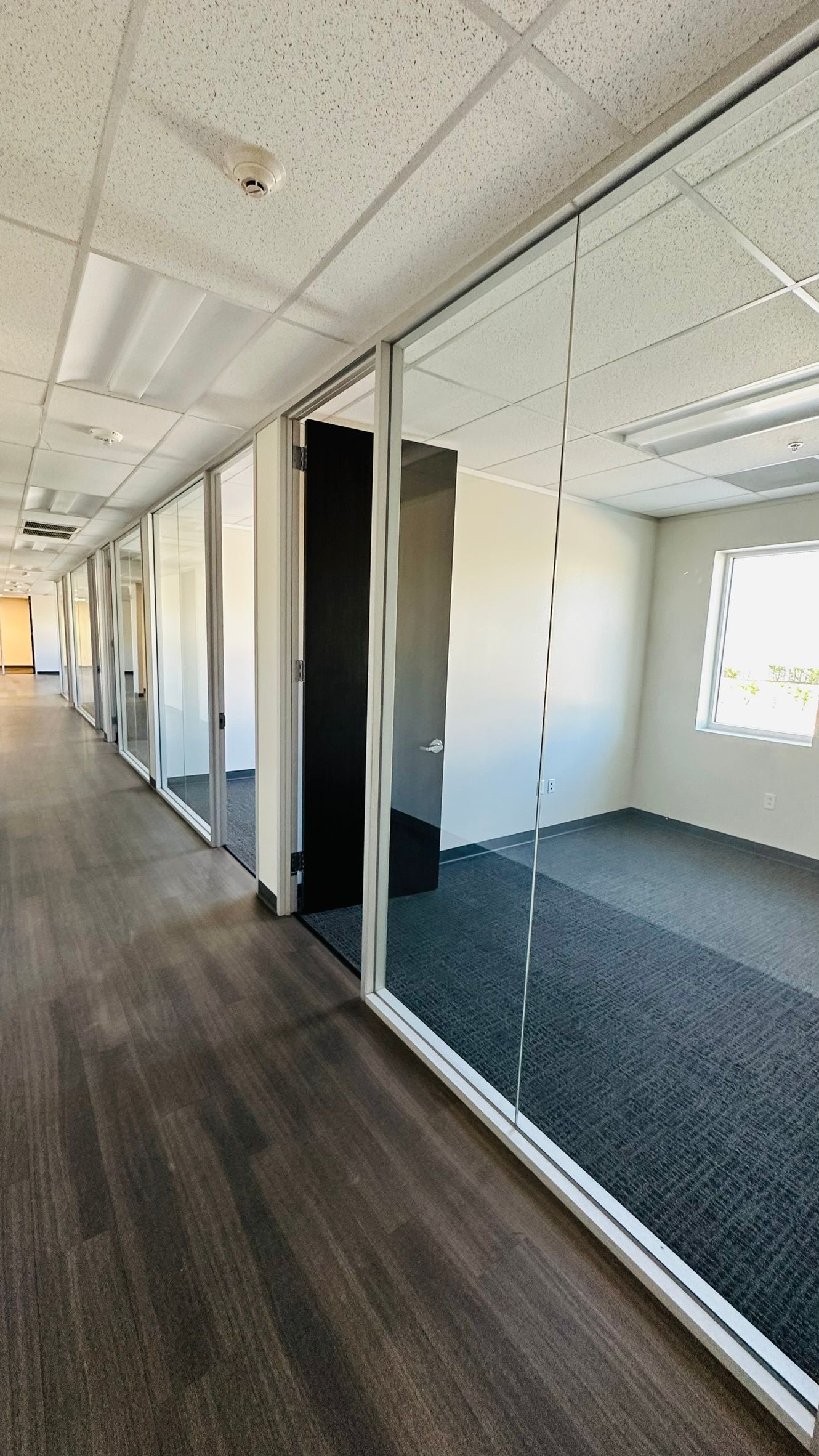 Office hallway with glass-walled rooms, dark carpet, and white ceiling tiles. Black door visible.