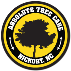 Absolute Tree Care of Hickory LLC