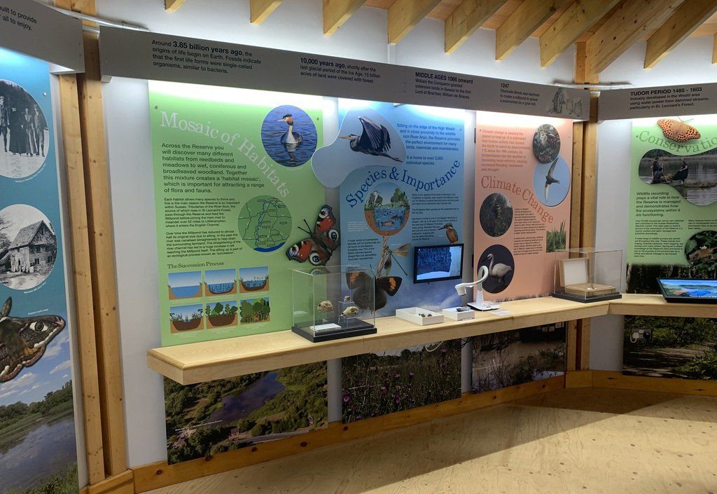 Warnham Nature Reserve