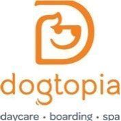 Dogtopia — Thryv Foundation