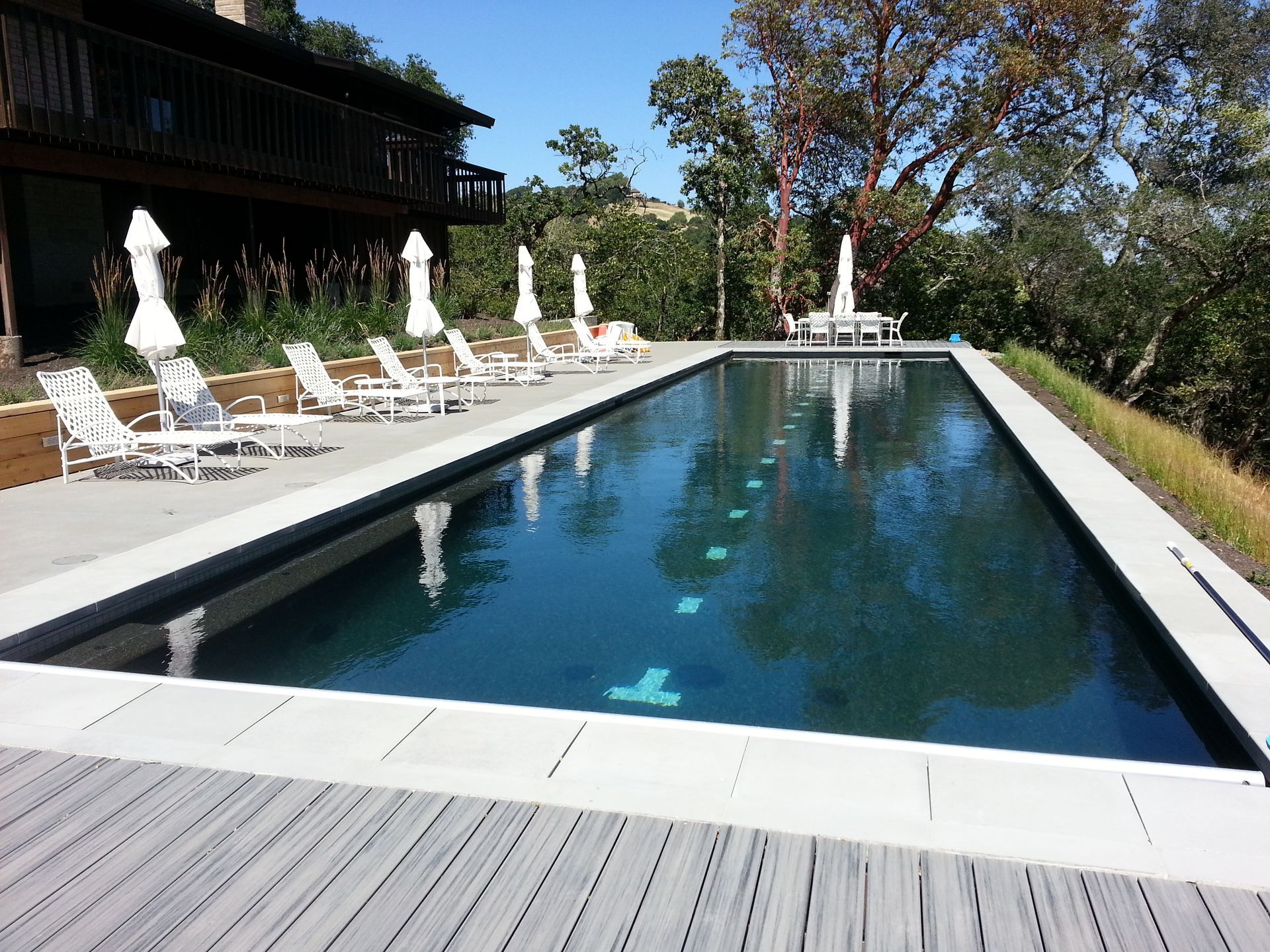 Long rectangular outdoor pool with white lounge chairs and umbrellas beside a house, surrounded by trees