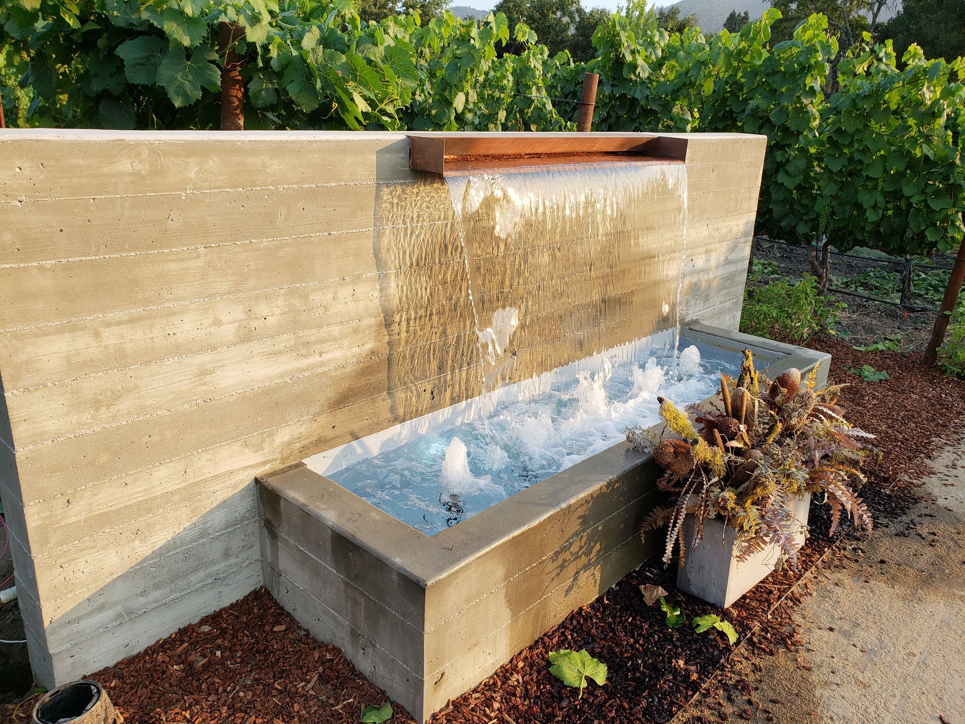 Modern concrete water feature with a wall spout and basin in a garden setting