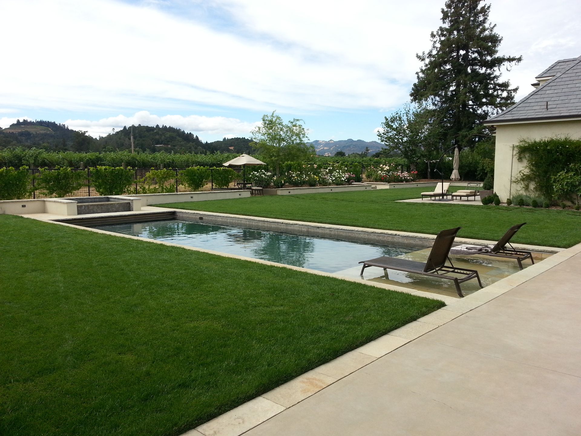 Backyard with a long rectangular pool, lounge chairs, green lawn, and a patio beside a house