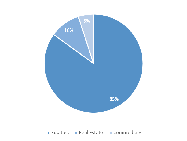 Representation of a growth-oriented portfolio. It consists of 85 percent equities, 10 percent real estate and 5 percent commodities.