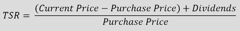 Image of the formula for calculating Total Shareholder Return