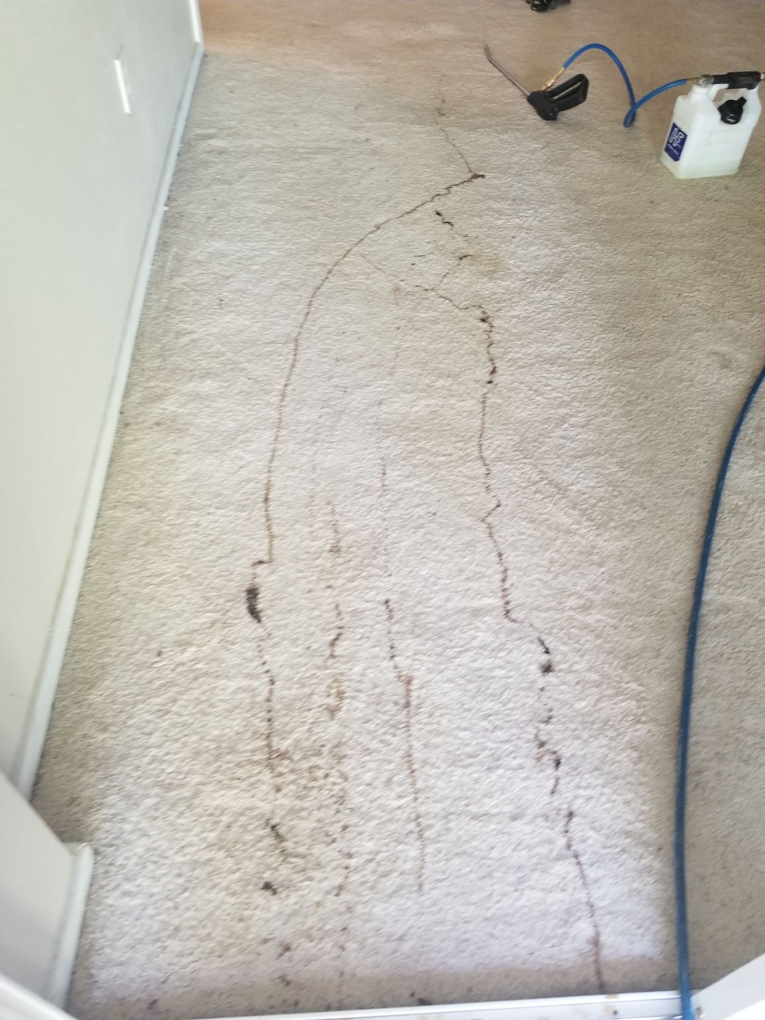 A dirty carpet in a room with a hose attached to it.