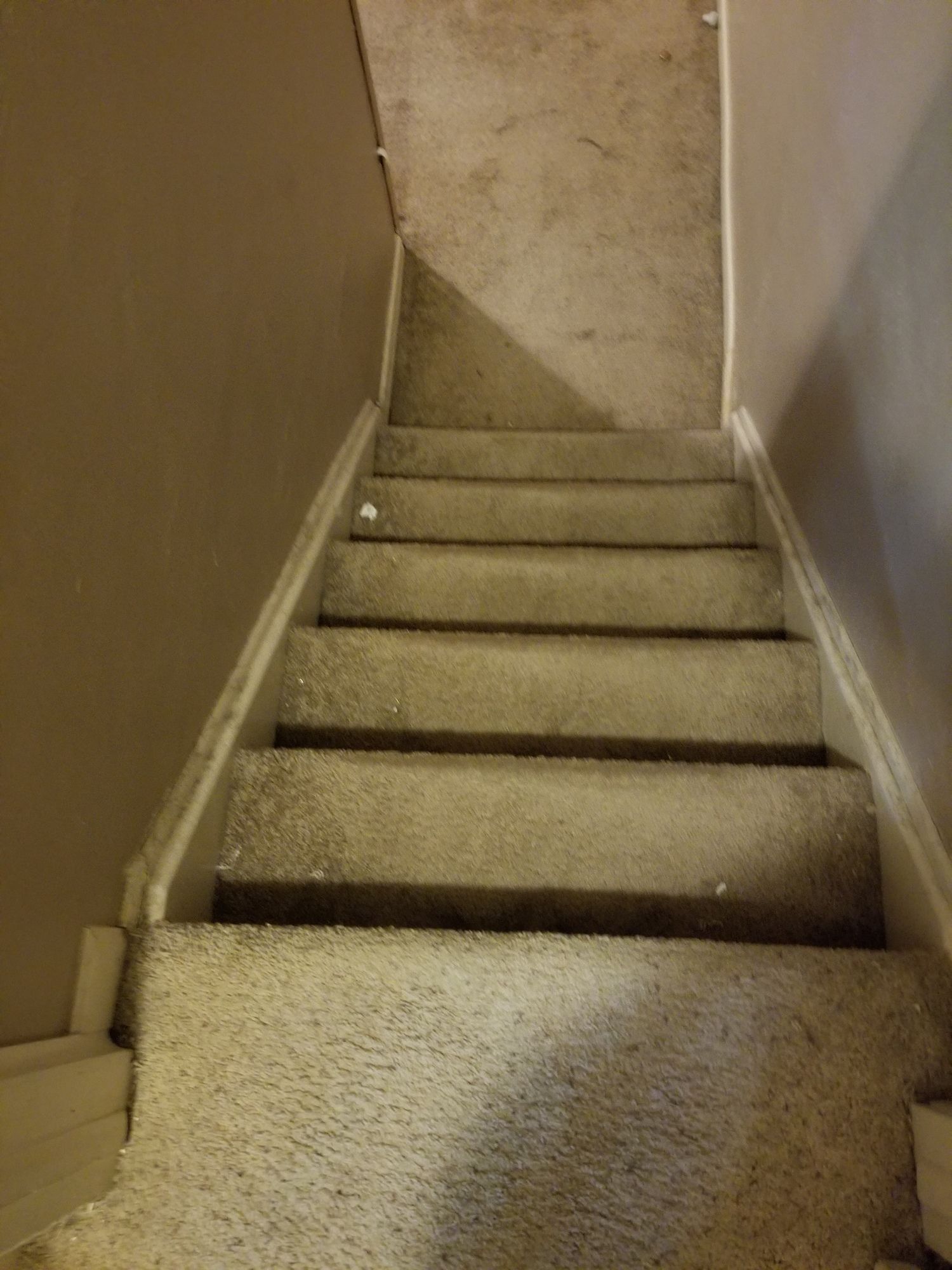 A set of stairs leading up to a basement with a carpeted floor.