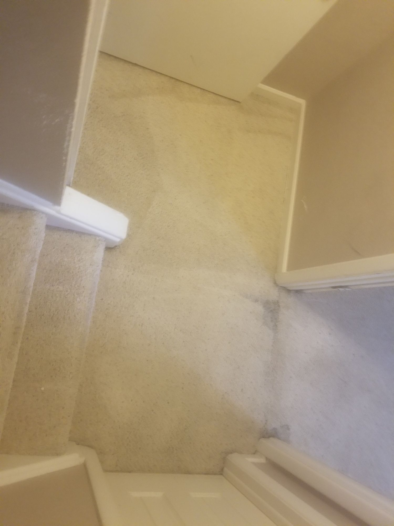 A staircase with a carpeted floor and a white railing.