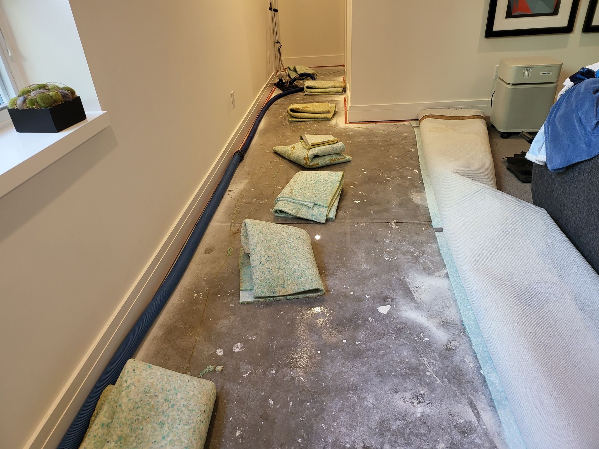 A room with a lot of towels on the floor.