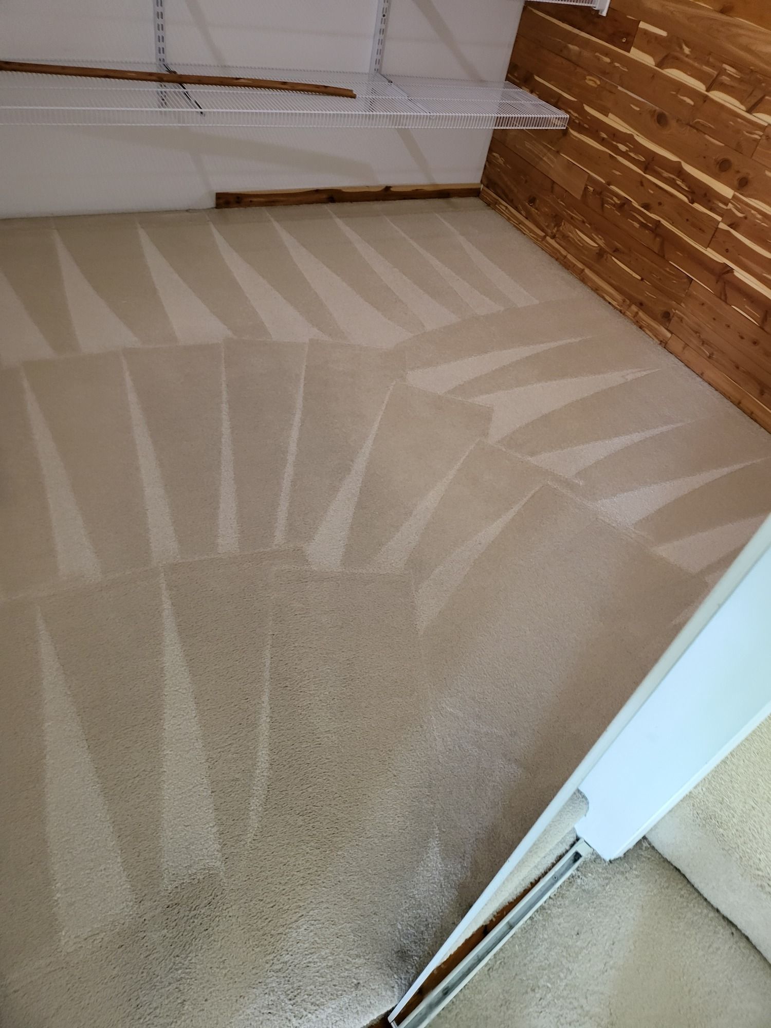 A room with a carpeted floor and a wooden wall.