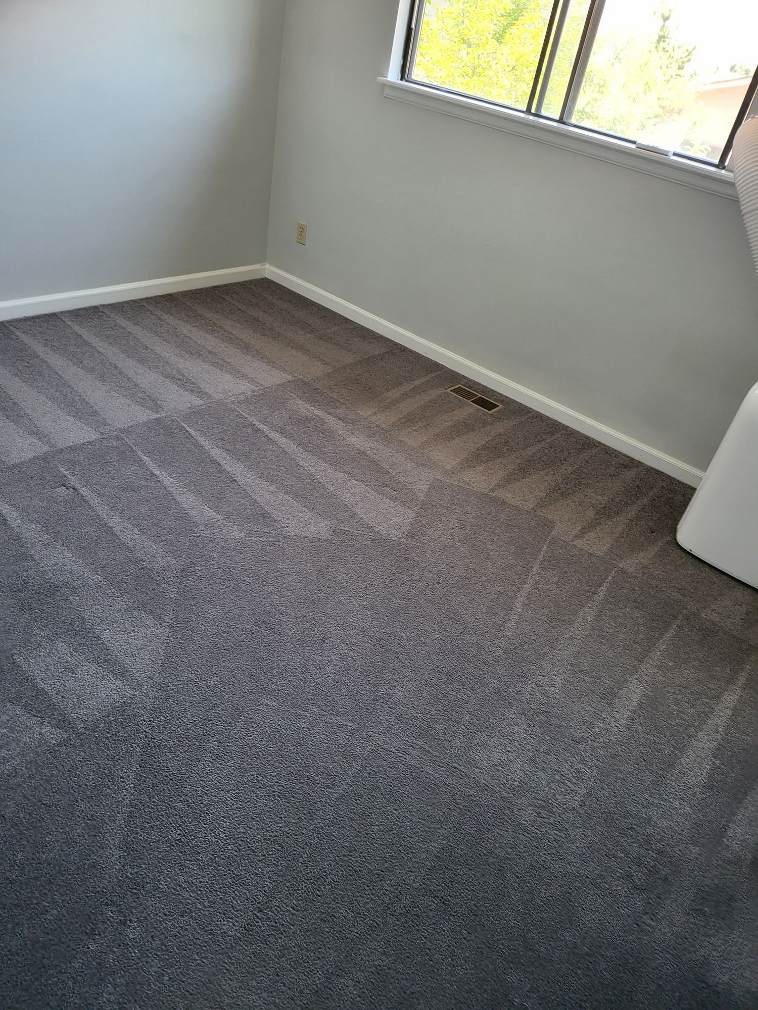 A bedroom with a gray carpet and a window.