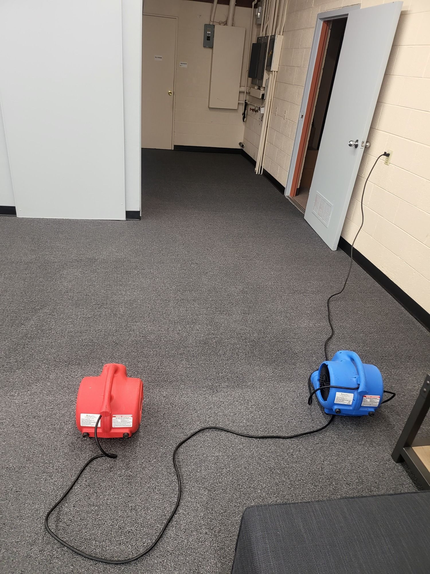 Two vacuum cleaners are sitting on a carpeted floor in a room.