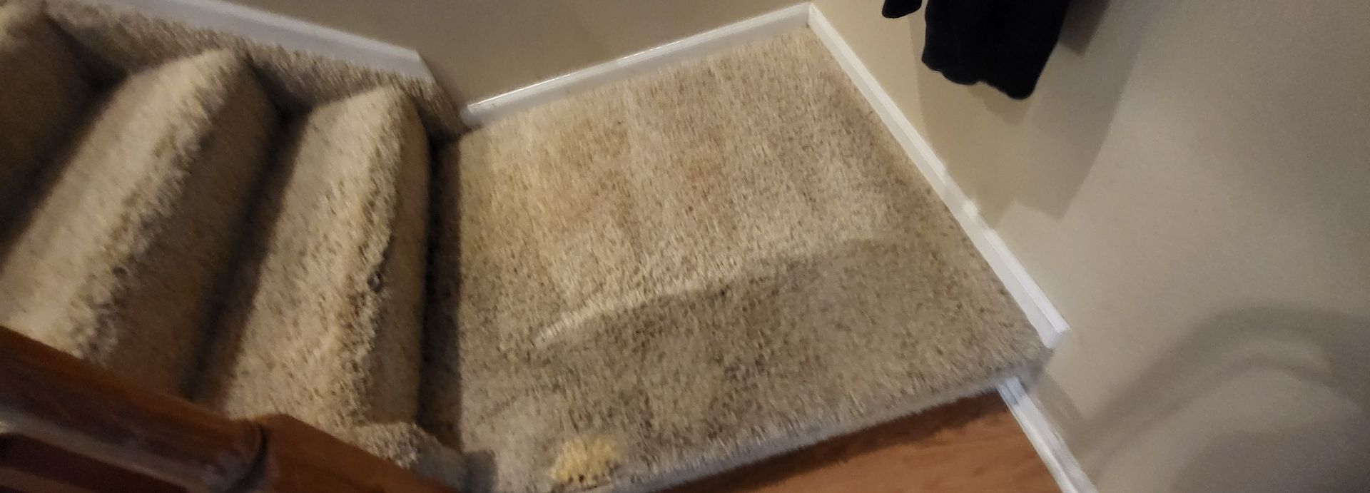 A close up of a staircase with a carpet on it.