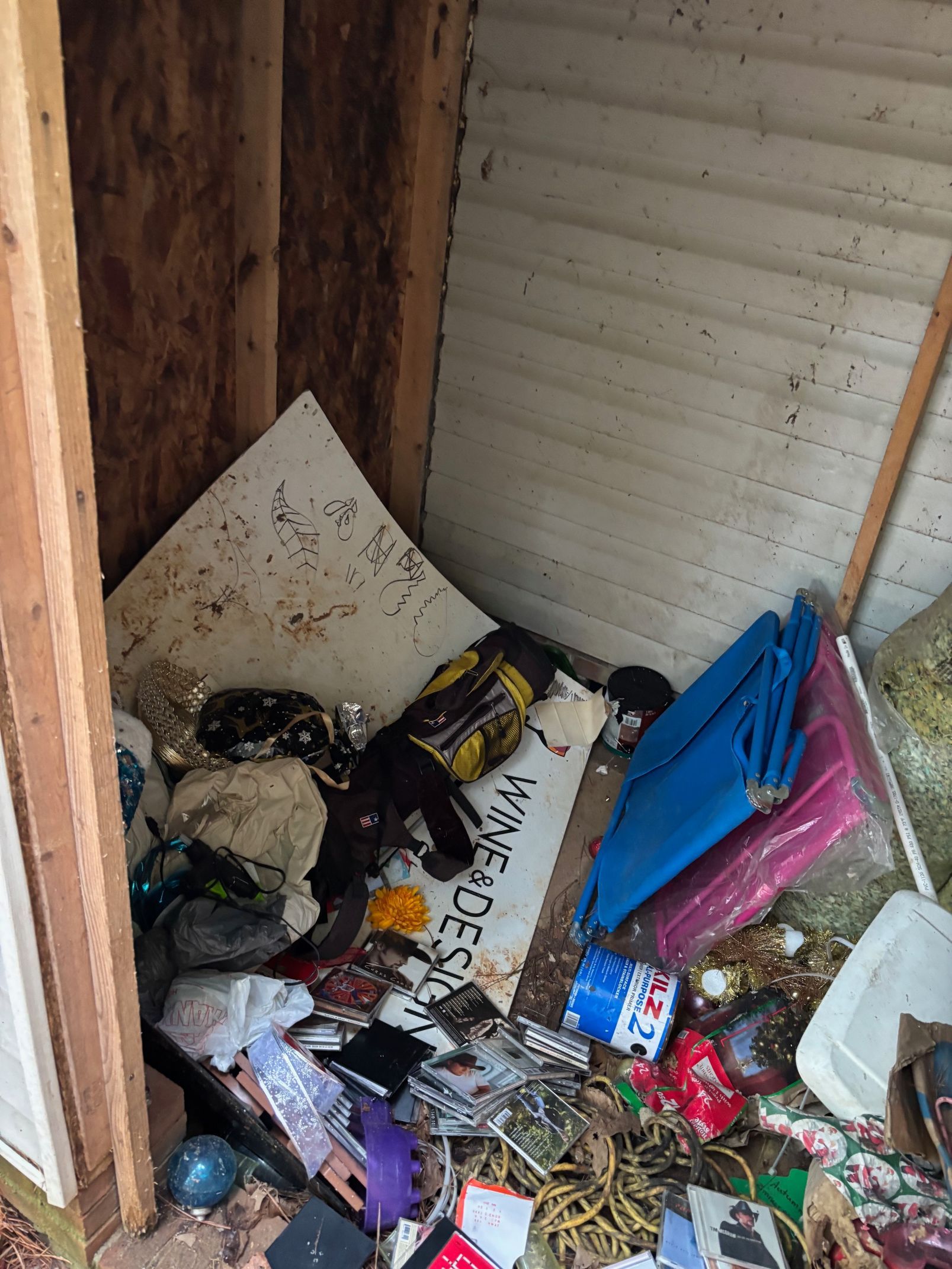 Junk Removal before cleanup