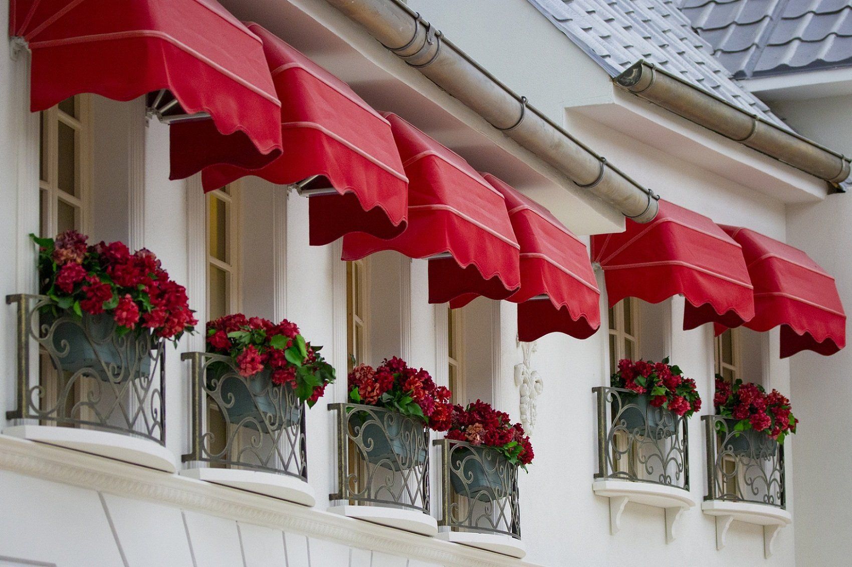 tende da sole a cappottina