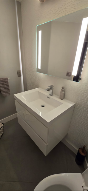 A bathroom with a sink , mirror and toilet.