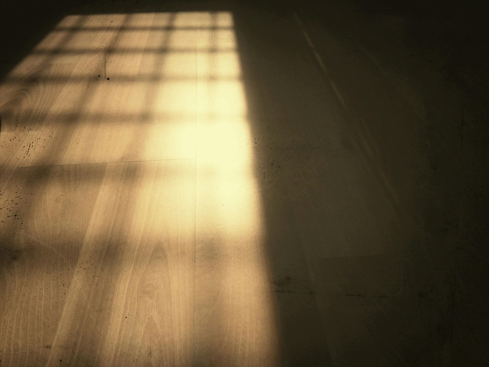 Sunlight from a window casts a rectangular pattern on a wooden floor.