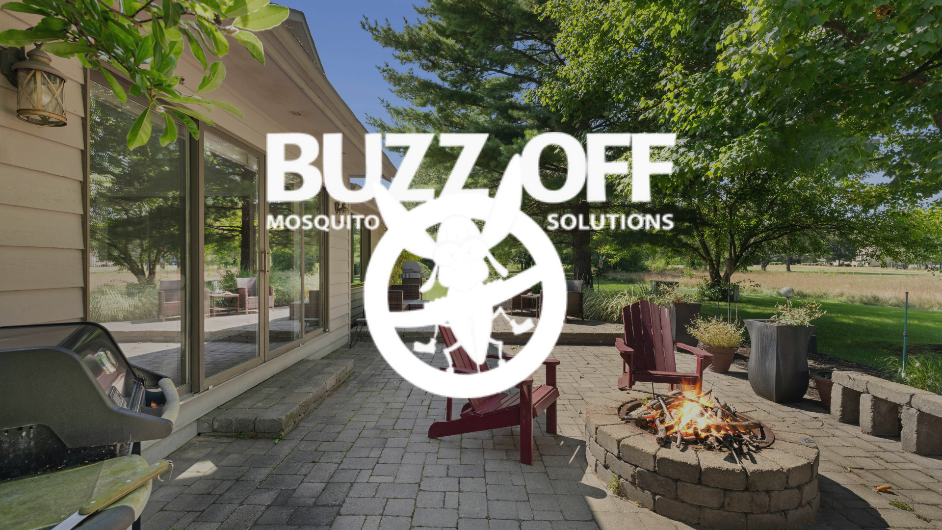 The logo for buzz off mosquito solutions is on a grassy field.
