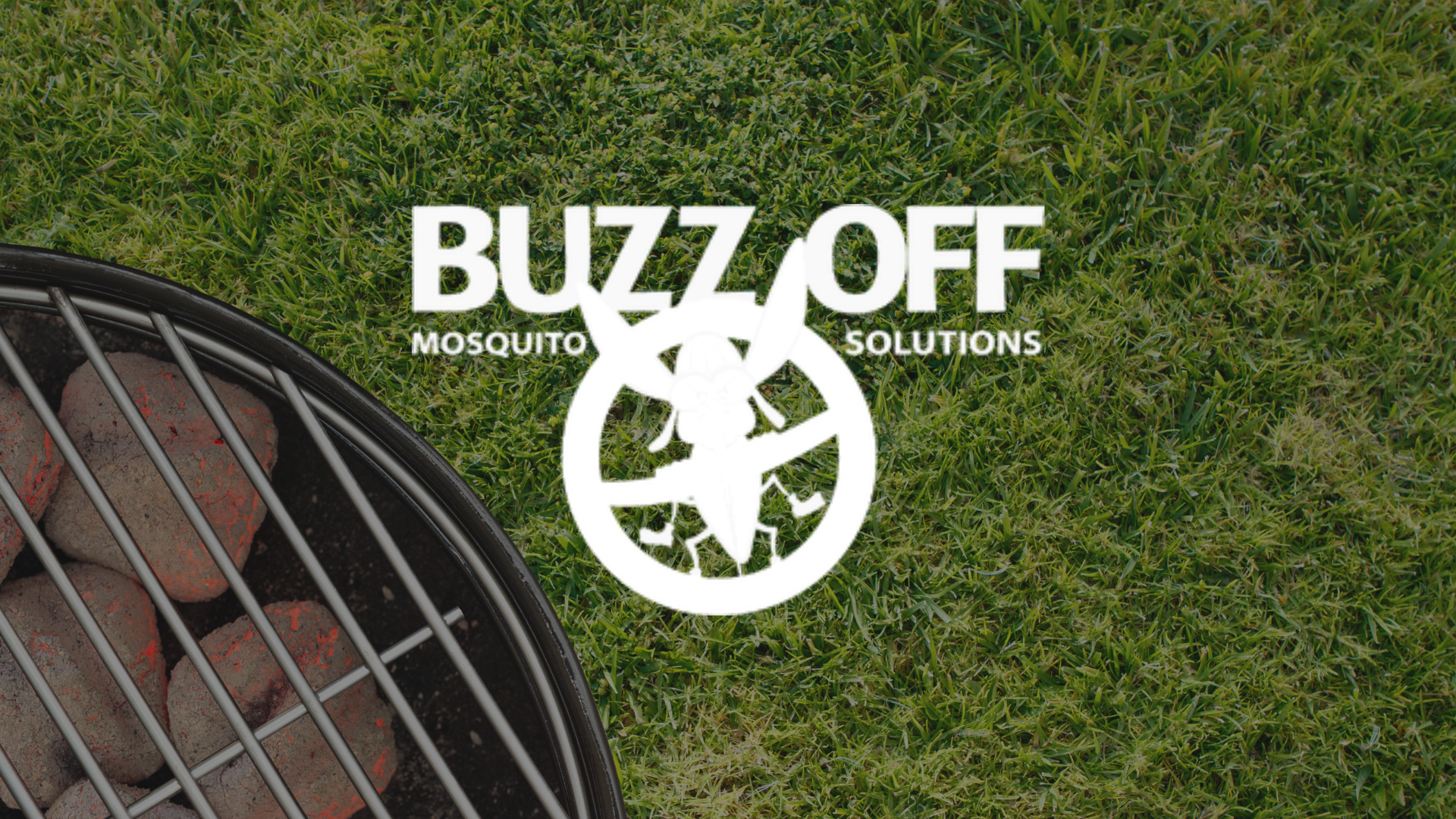 A logo for buzz off mosquito solutions is on a lush green lawn.
