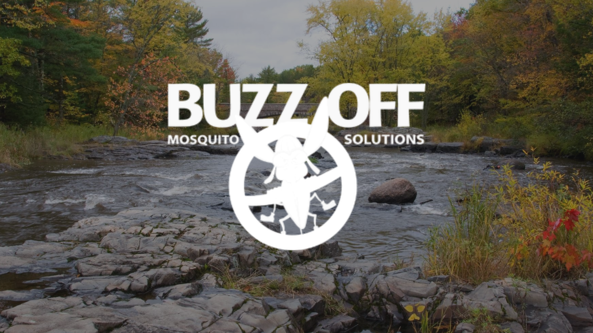 The logo for buzz off mosquito solutions is on a grassy field.