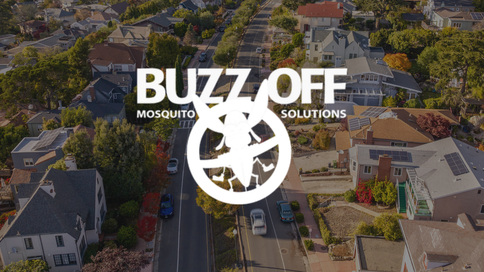 An aerial view of a residential area with a buzz off mosquito solution logo.