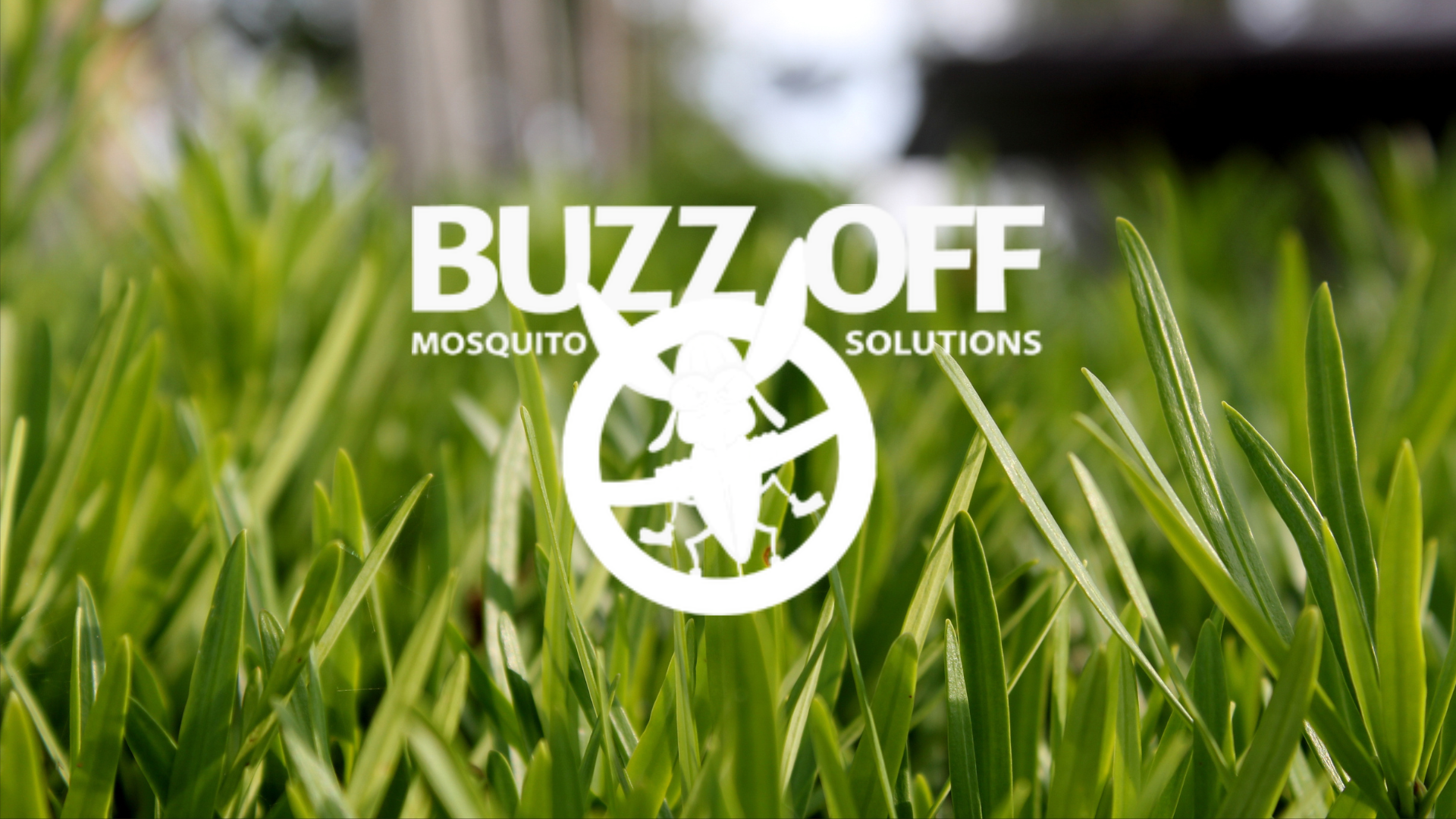 A logo for buzz off mosquito solutions is in the grass