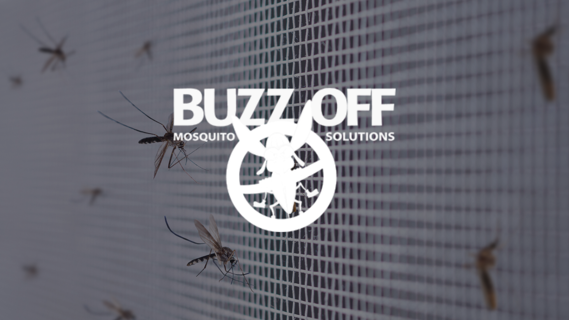 A buzz off mosquito screen with mosquitoes flying around it.