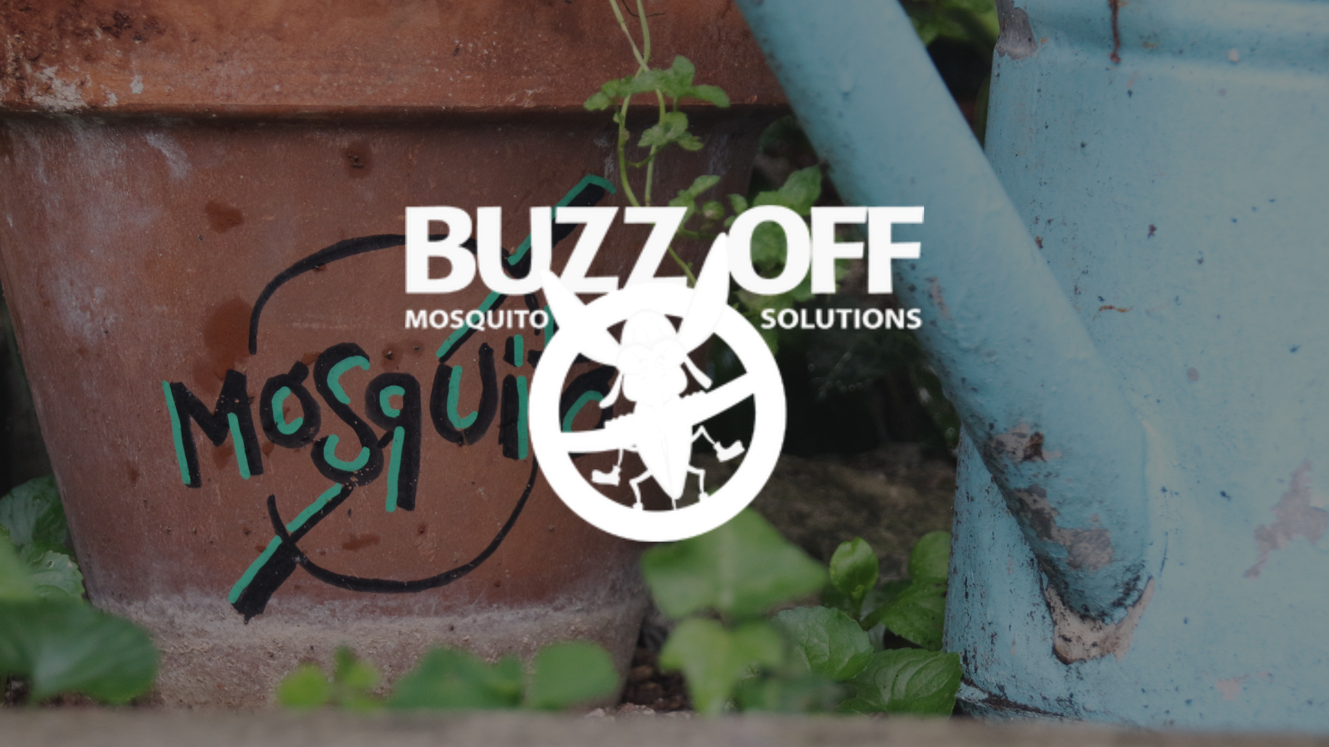 The logo for buzz off mosquito solutions is on a pot