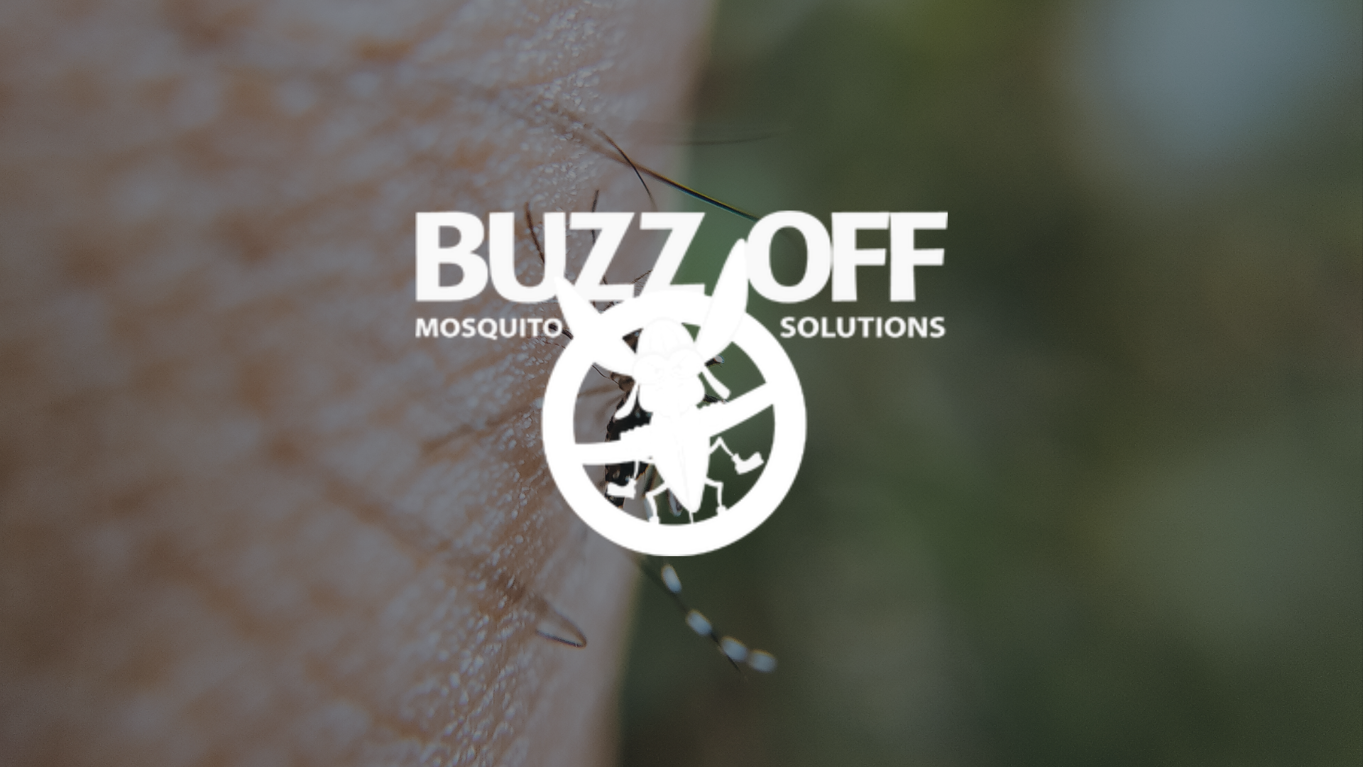 A close up of a mosquito on a person 's skin with buzz off logo in foreground