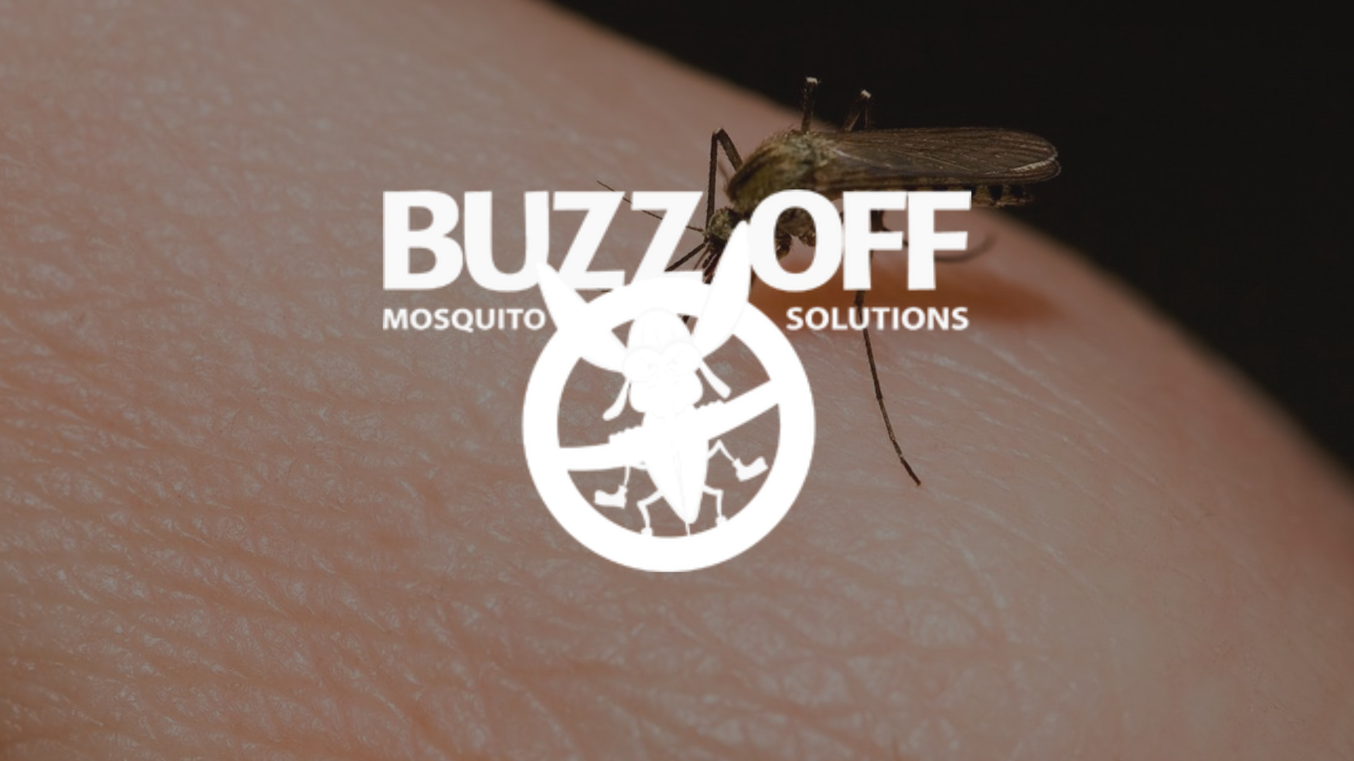 A mosquito is biting a person 's arm and the logo for buzz off mosquito solutions