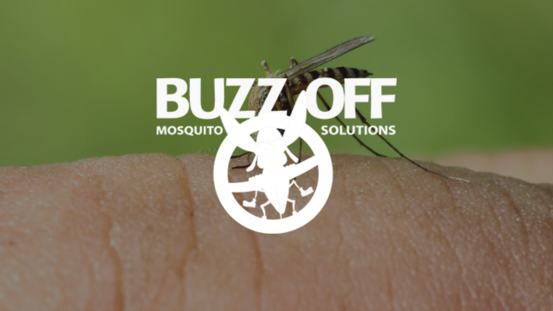 A mosquito is biting a person 's arm.