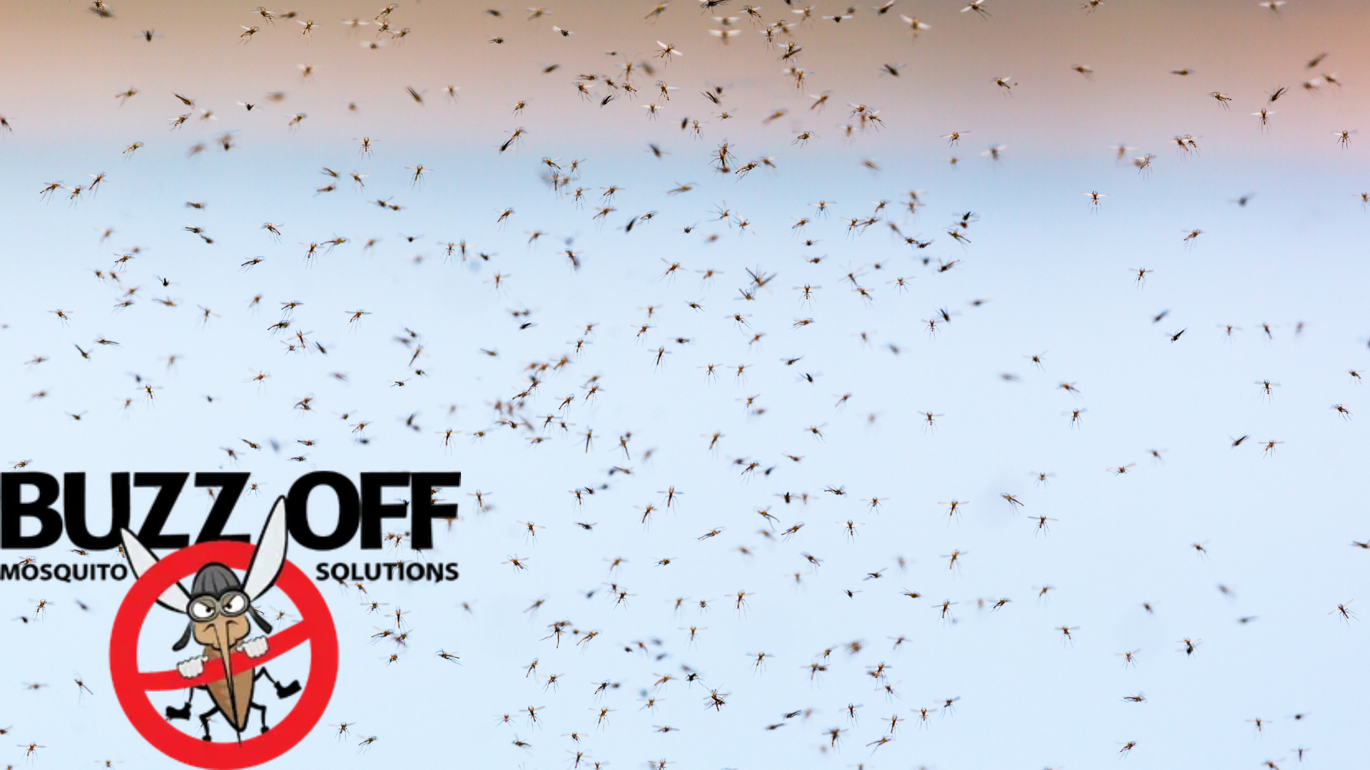A bunch of mosquitoes are flying in the air with buzz off written on the bottom