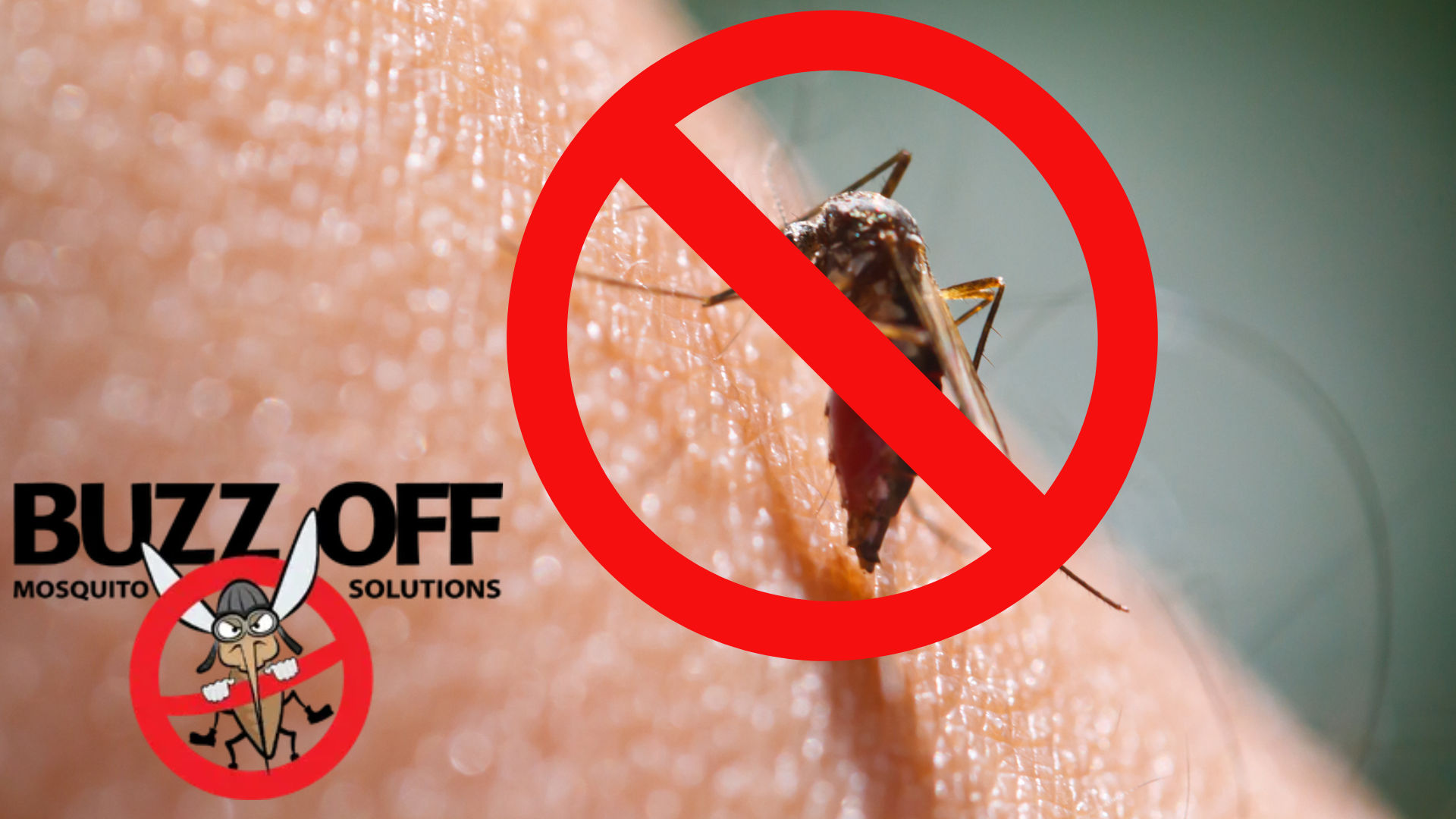 Too many mosquitos in your Marinette County backyard? Call us!