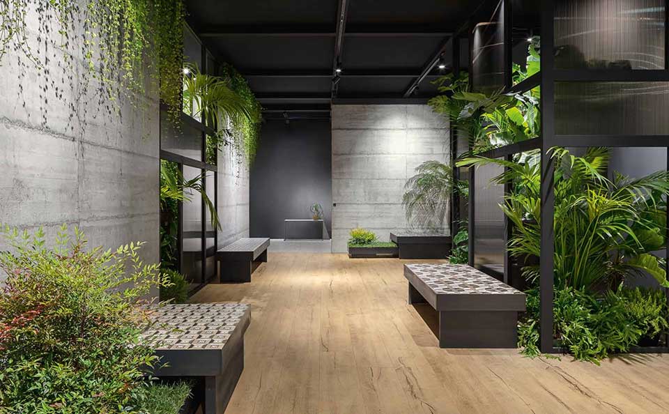 area con parquet chiaro e piante