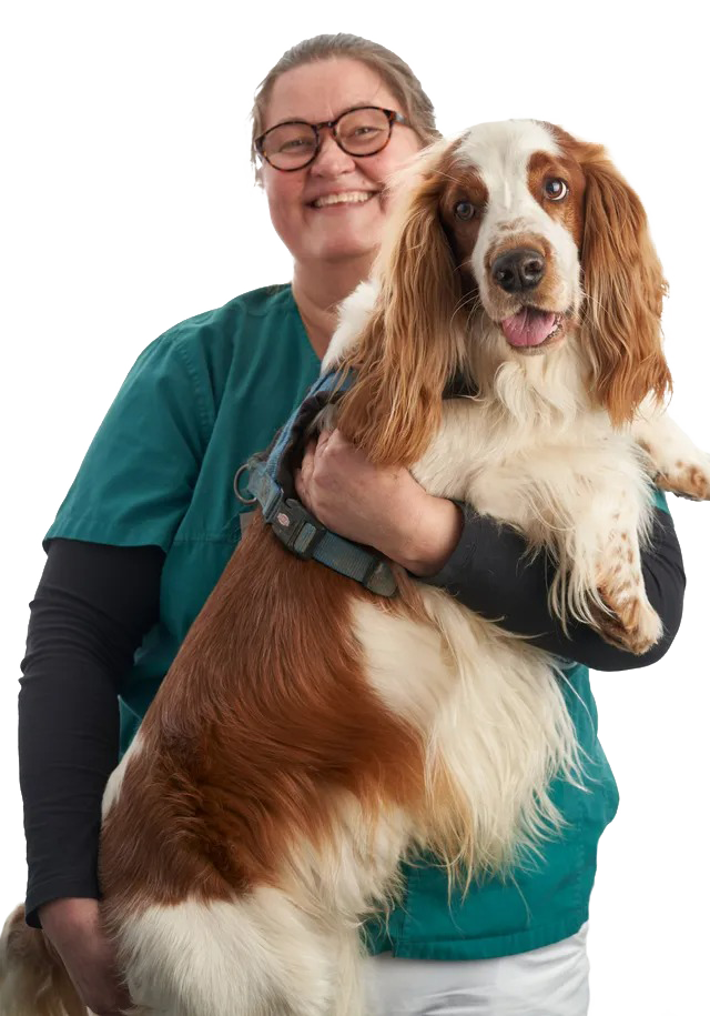 Dorthe Brunov Hansen