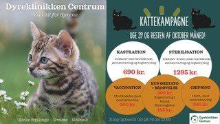 Tilbud på Kastration og Sterilisation