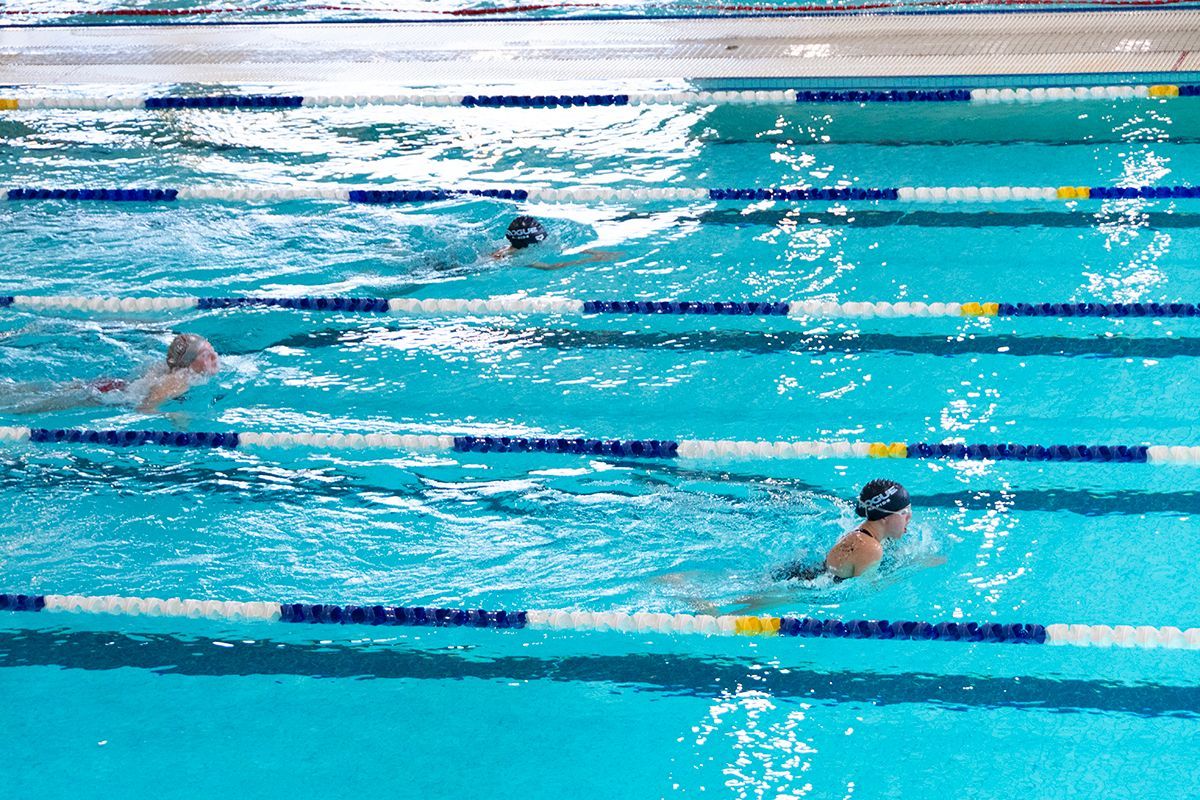 A group of people are swimming in a large swimming pool.