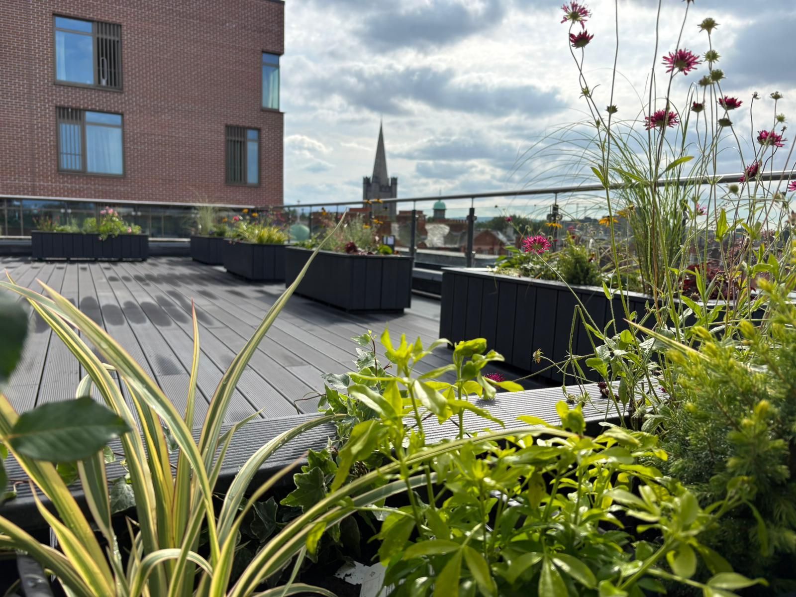 composite decking