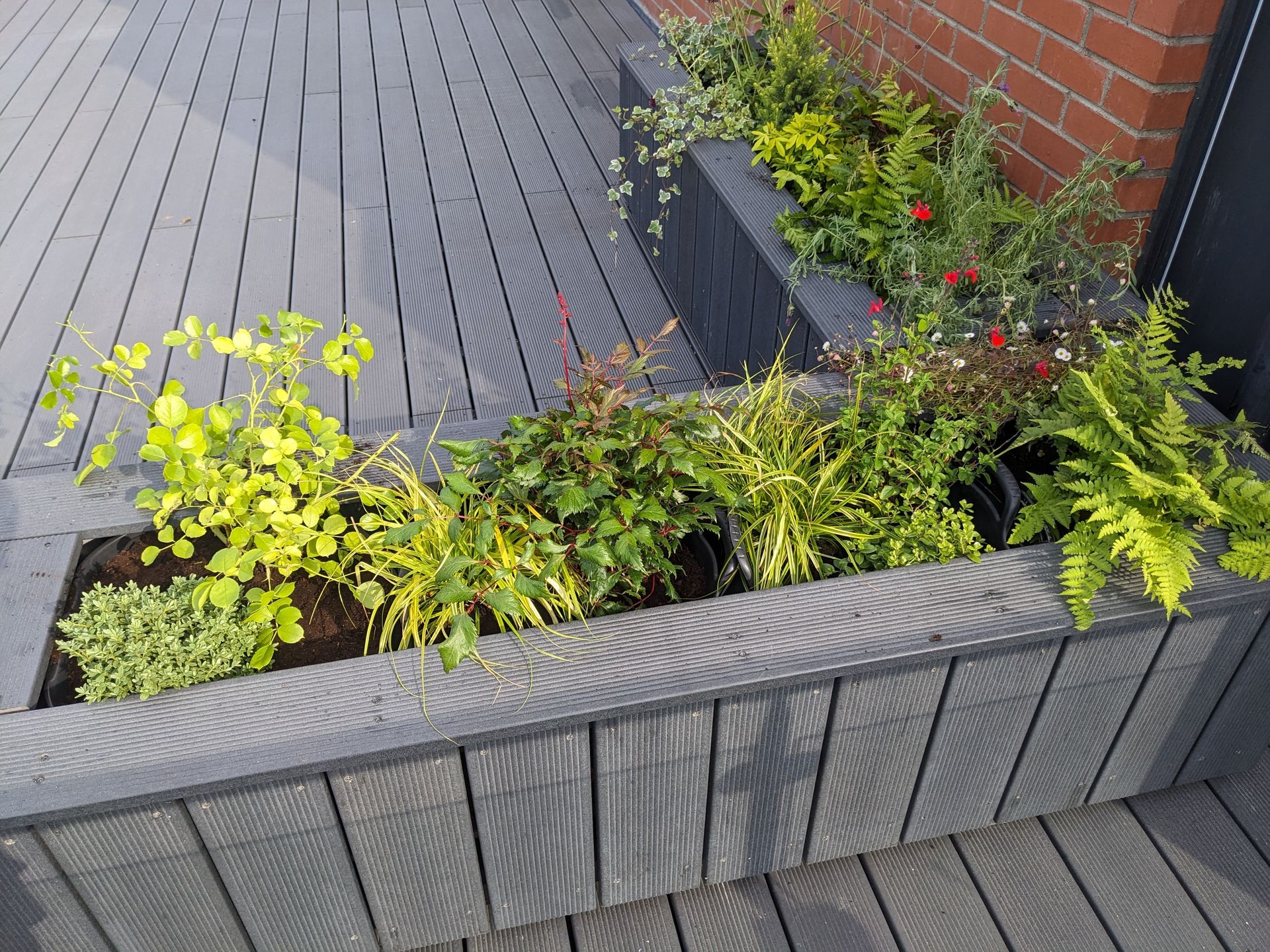 composite decking