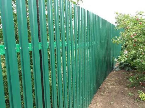 Green Corrugated Metal Fence in a Yard, Separating It From Greenery and a Small Tree — Fencer Steve In Temagog, NSW