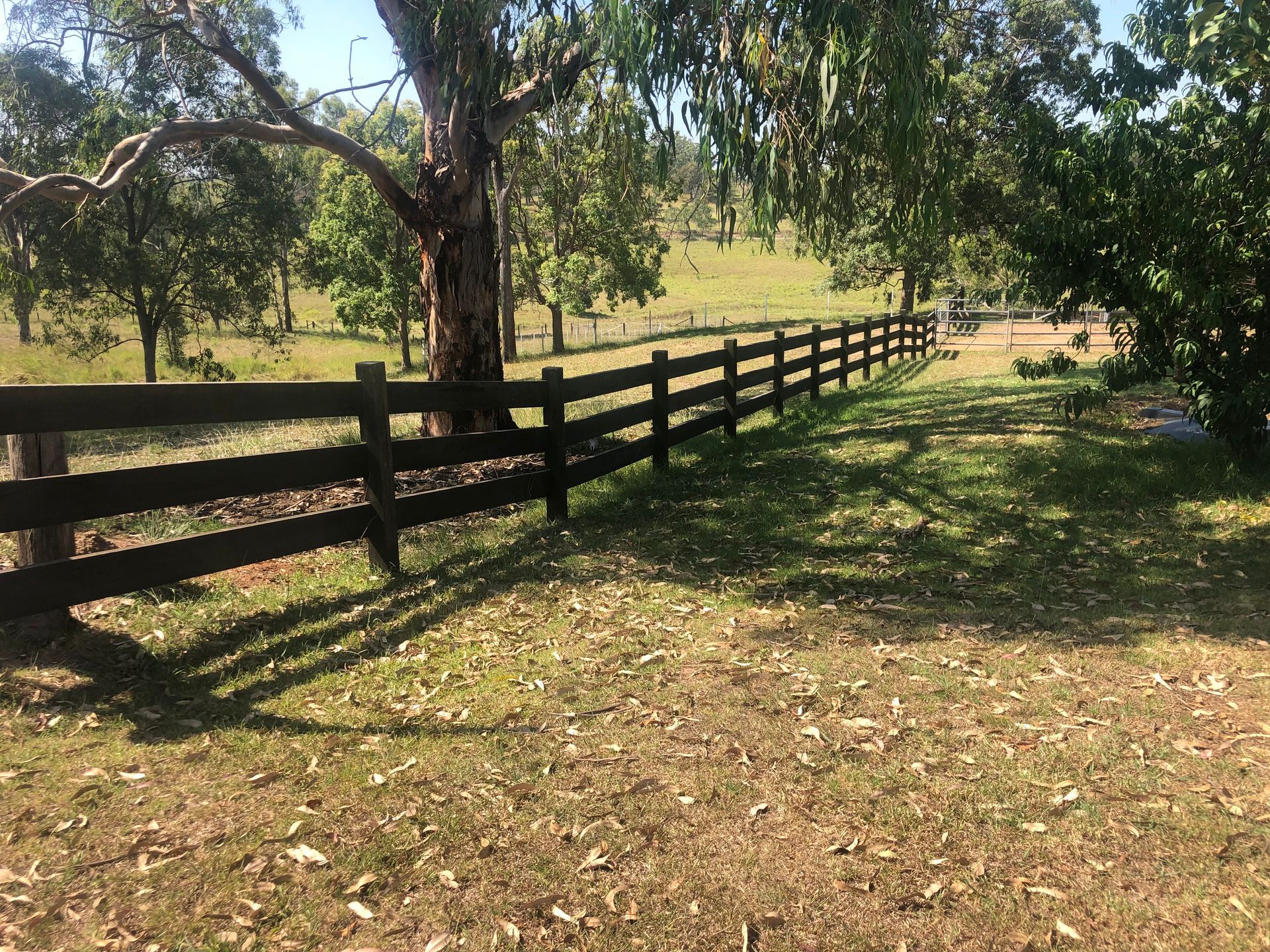 Wooden Fence Bordering a Grassy Yard With Trees, Under a Bright Sky — Fencer Steve In Wauchope, NSW