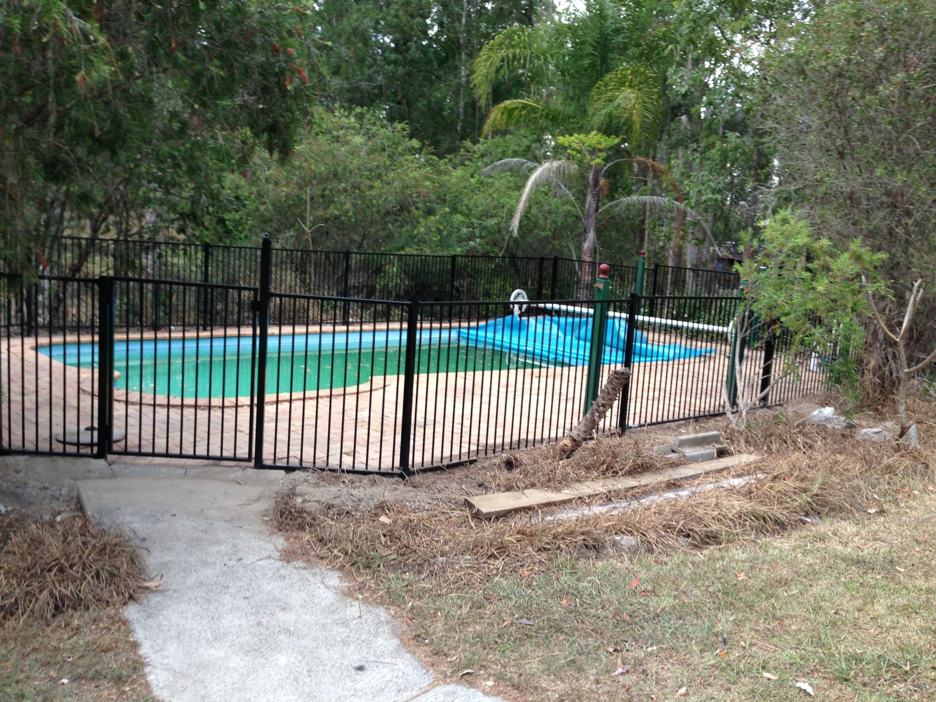 Pool Surrounded by a Black Fence and Lush Greenery — Fencer Steve In Laurieton, NSW