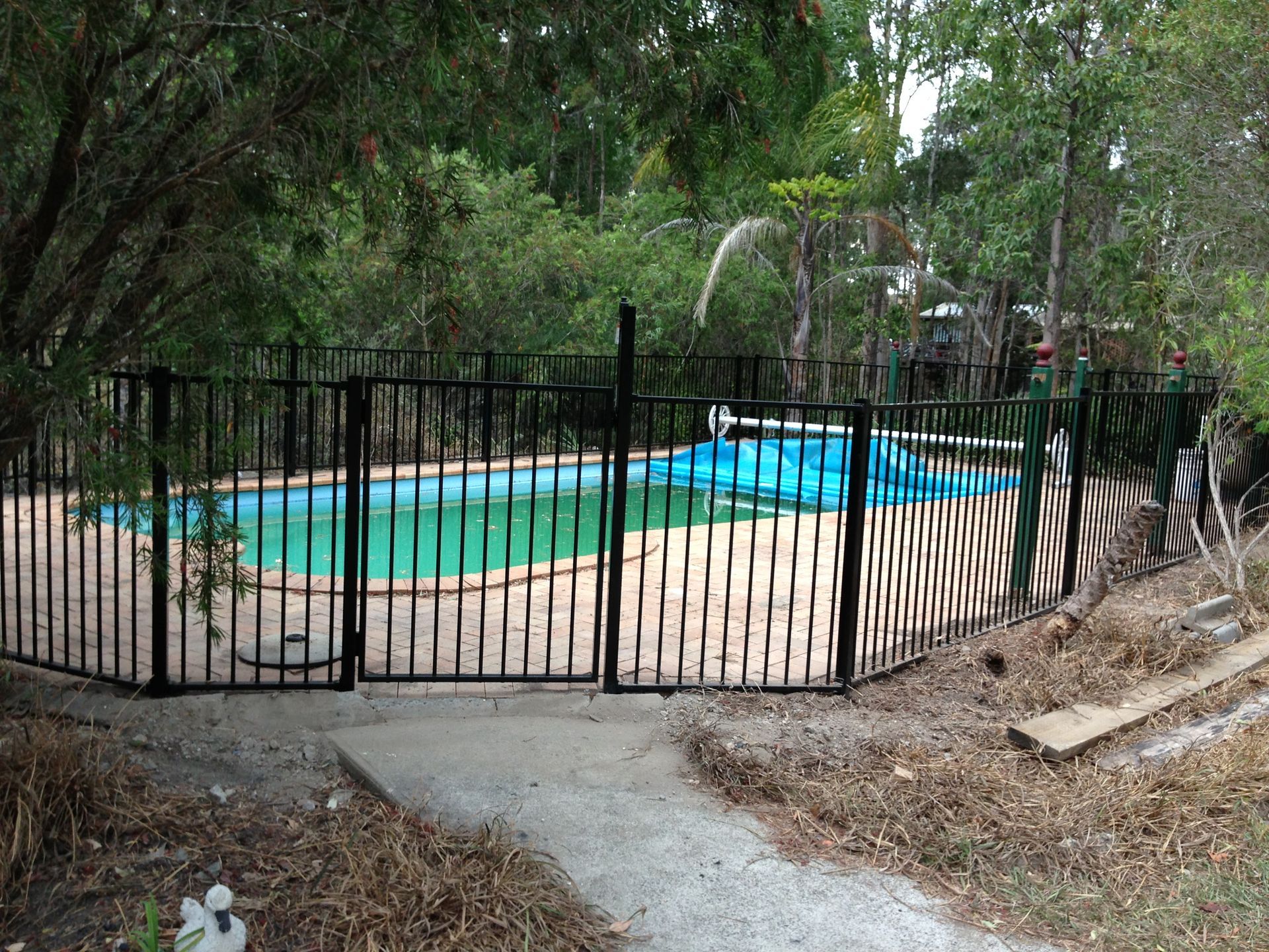 Black fenced pool surrounded by trees, concrete path in front — Fencer Steve In Temagog, NSW