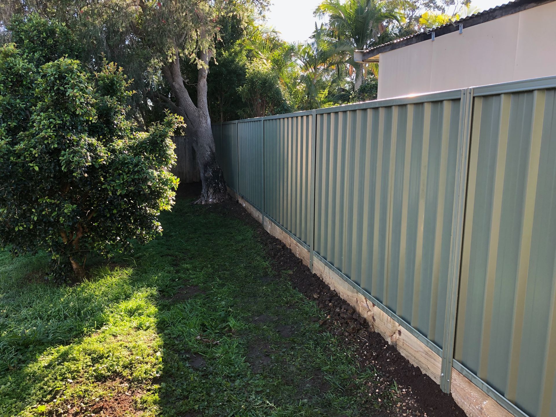 Green corrugated metal fence along a grassy yard with a tree and bushes — Fencer Steve In Temagog, NSW
