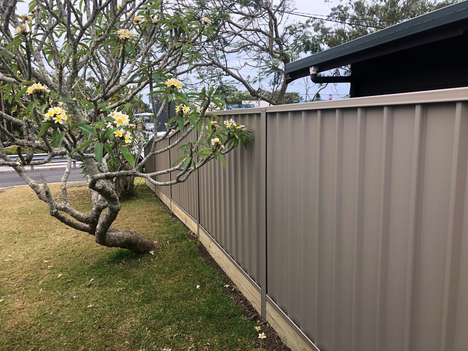 Brown corrugated metal fence bordering a green lawn with a flowering tree — Fencer Steve In Temagog, NSW