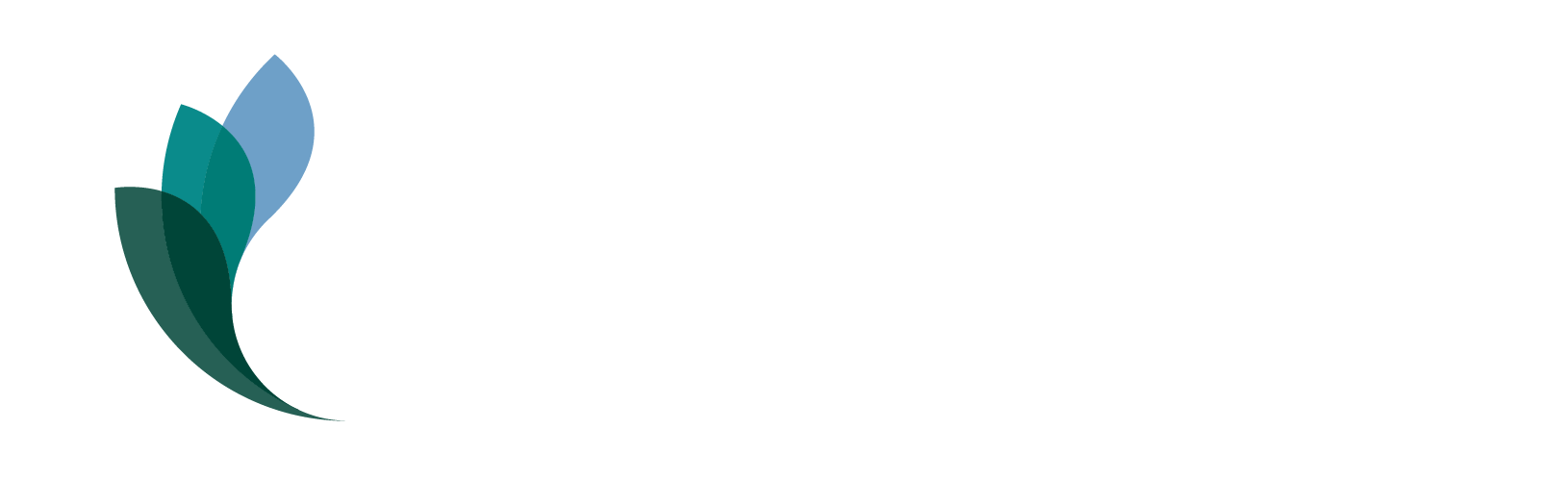 Fostering Healthy Futures