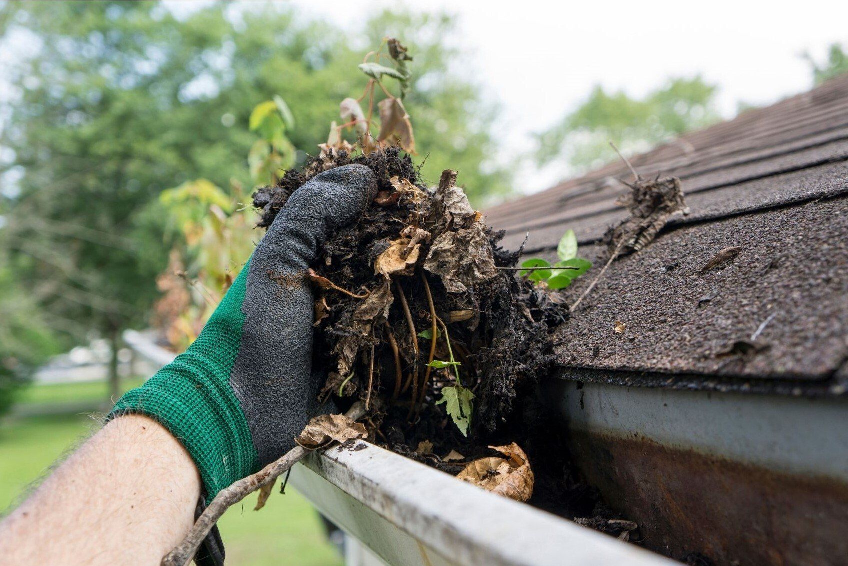 Langley Handyman taking dirt and leaves out of top floor gutters